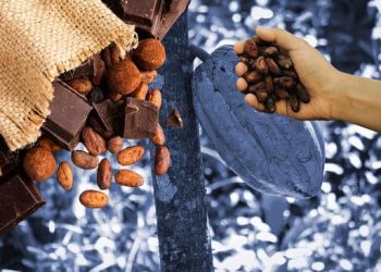 Harga Kakao Diprediksi Tetap Tinggi di 2026 Untuk Pecinta Cokelat