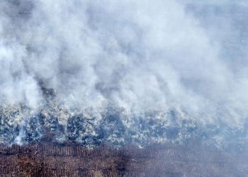Bahaya Karhutla Tinggi di Riau, Modifikasi Cuaca Dilakukan Pekan Ini