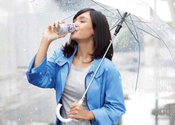 Susu Beruang untuk Kesehatan Paru-Paru, Mitos atau Fakta?