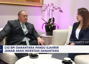 Pinjaman USD 10 Juta Bukti Kepercayaan Global Menurut CIO Danantara