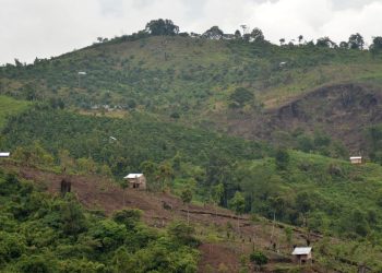 Studi Menunjukkan 6000 Orang di Indonesia Meninggal Karena Deforestasi