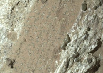 Temuan Tanda Kehidupan Jelas di Mars Menurut NASA dan Buktinya