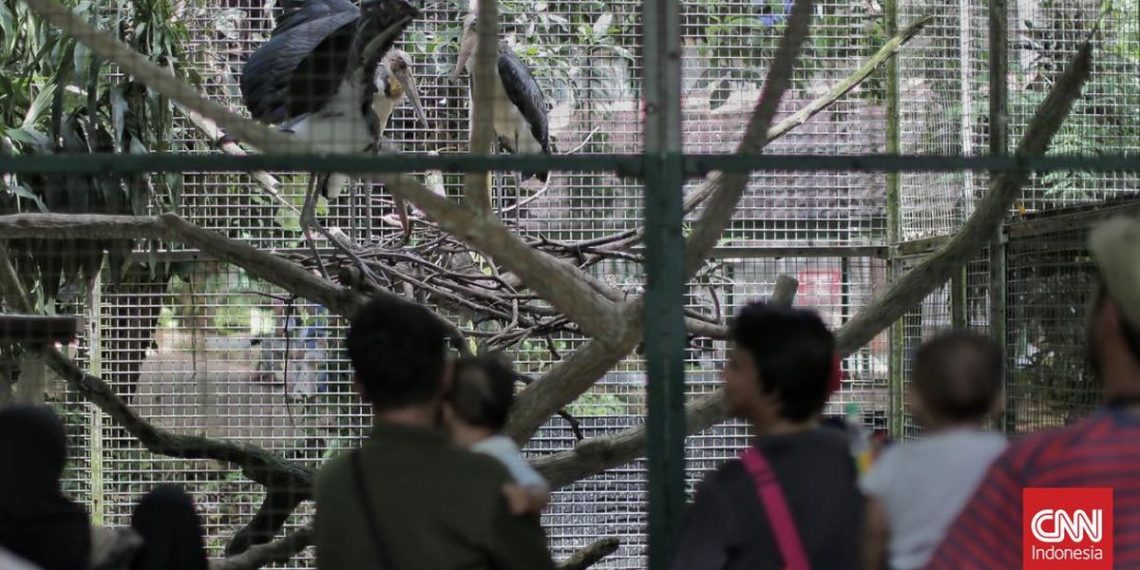 Kebun Binatang Ragunan Buka Malam Hari Mulai 11 Oktober