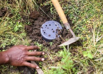 Membuat Lubang Resapan Biopori di Rumah dan Tips Perawatannya
