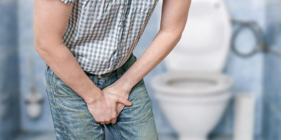 Proses Pembentukan Urine dalam Tubuh Manusia