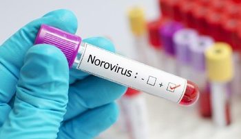 Wabah Norovirus Serang Kapal Pesiar, Total 20 Kasus Sepanjang 2025