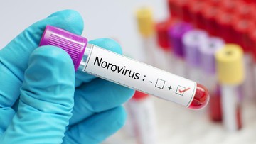 Wabah Norovirus Serang Kapal Pesiar, Total 20 Kasus Sepanjang 2025