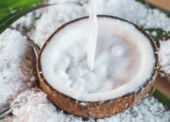 Sama Lezatnya, 7 Alternatif Santan untuk Masakan yang Lebih Sehat