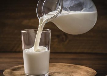 Susu Kambing Sebagai Pilihan Sehat Penuh Manfaat