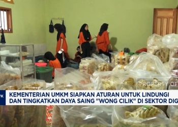 Aturan Baru Kementerian UMKM untuk Masyarakat Kecil
