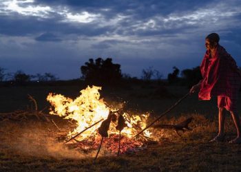 Suku Maasai Hidup Bersama Satwa Liar di Cagar Alam