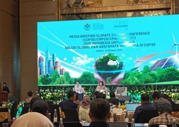 Indonesia Siapkan 90 Juta Ton Kredit Karbon di COP 30 Amazonia