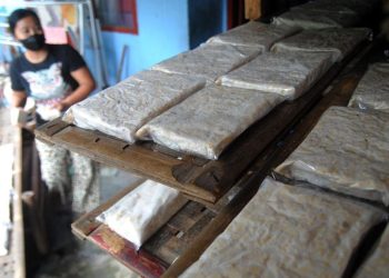 Amankah Mengonsumsi Tahu dan Tempe?