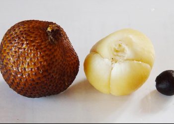 Musim Salak Ternyata Memiliki 9 Manfaat Kesehatan Ini