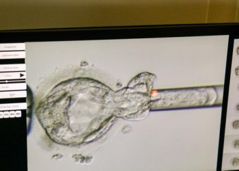 Rekor Dunia, Bayi Lahir dari Embrio Beku Selama 31 Tahun