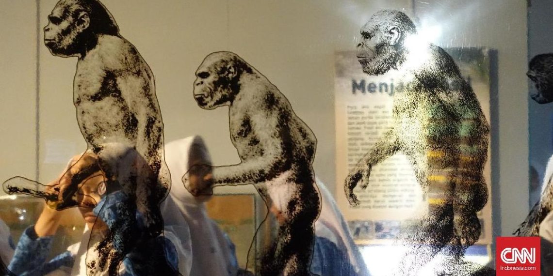 Riset Ungkap Perubahan Bumi Tropis dan Jejak Manusia Purba