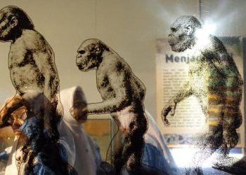 Riset Ungkap Perubahan Bumi Tropis dan Jejak Manusia Purba