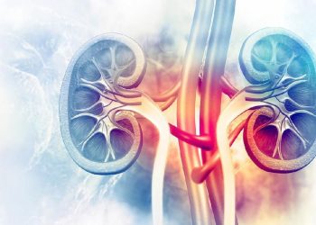 Gejala Gagal Ginjal yang Mirip dengan Maag, Apa Saja?