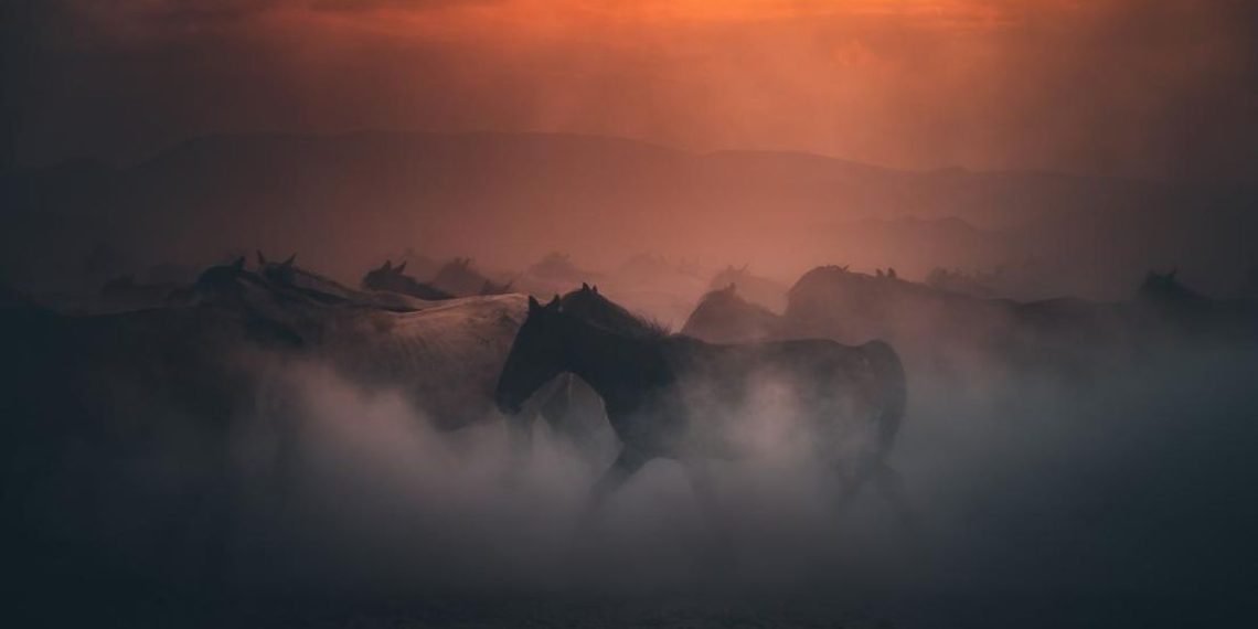 8 Mitos Hewan di Indonesia yang Perlu Kamu Ketahui