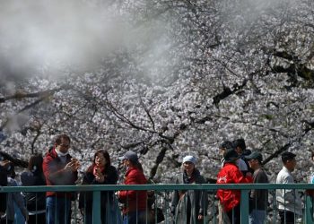Turis China Mendapat Peringatan Perjalanan ke Jepang