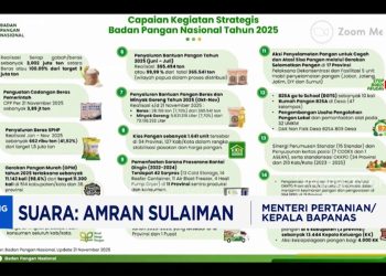 Serapan Gabah Tembus 100 Persen dari Target