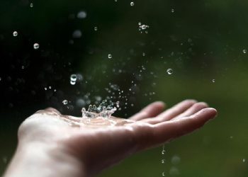 Lirik Lagu November Rain dan Artinya