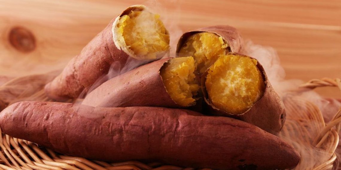 Kenali Tanda Makanan Kukusan yang Sudah Tidak Layak Dimakan