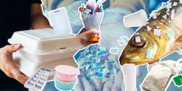 Warga RI Terbanyak Dunia Konsumsi Mikroplastik, Ketahui Sumbernya