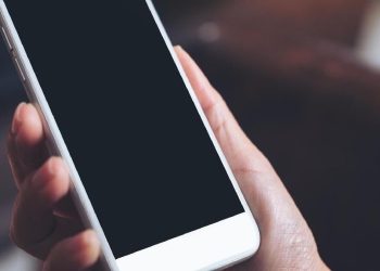 Cara Cek PIP Termin 3 yang Cair Desember 2025