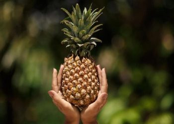 Enak dan Kaya Vitamin, Namun Kelompok Ini Ternyata Dilarang Makan Nanas