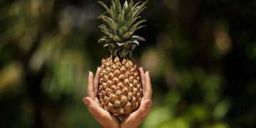 Enak dan Kaya Vitamin, Namun Kelompok Ini Ternyata Dilarang Makan Nanas