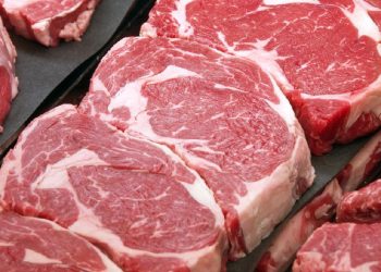 Jadi Alternatif Wagyu, Apakah Aman Konsumsi Daging Meltique?