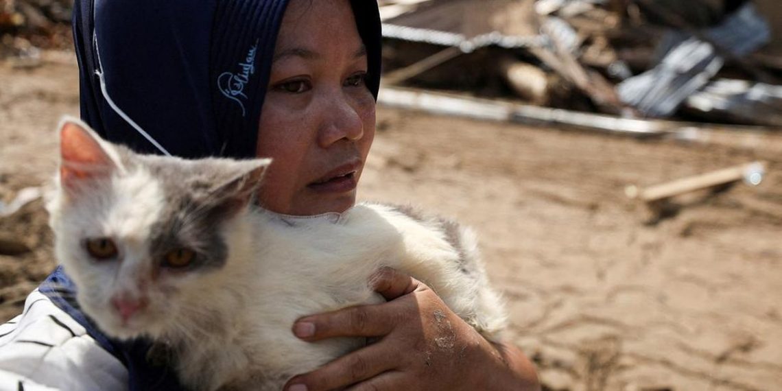 Kisah Cinta Kucing dan Pemilik di Tengah Bencana Sumatera