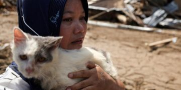 Kisah Cinta Kucing dan Pemilik di Tengah Bencana Sumatera