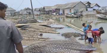 Hiu Tutul Terdampar di Pantai Purworejo dengan Panjang 4 Meter dan Berat 1 Ton