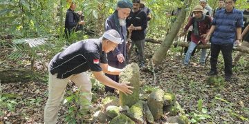 Pakar Temukan Situs Megalitik Baru di Indonesia, Ini Lokasinya