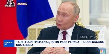 Video: Penguatan Hubungan Perdagangan Rusia-India antara Putin dan Modi