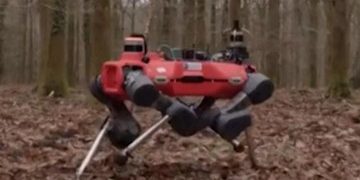 Aksi Robot Anjing Lindungi dan Kelola Hutan di Oxford