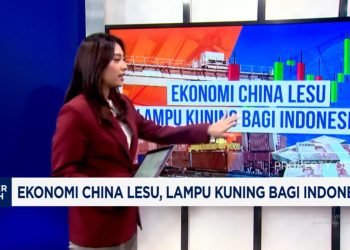 Ekonomi China Lesu Menjadi Peringatan Untuk Indonesia
