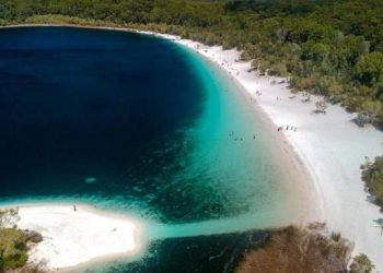 Backpacker Tewas Tragis Diduga Diterkam Hewan Predator