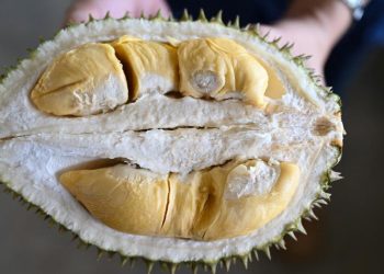 Tujuh Jenis Makanan yang Sebaiknya Dihindari Saat Mengonsumsi Durian