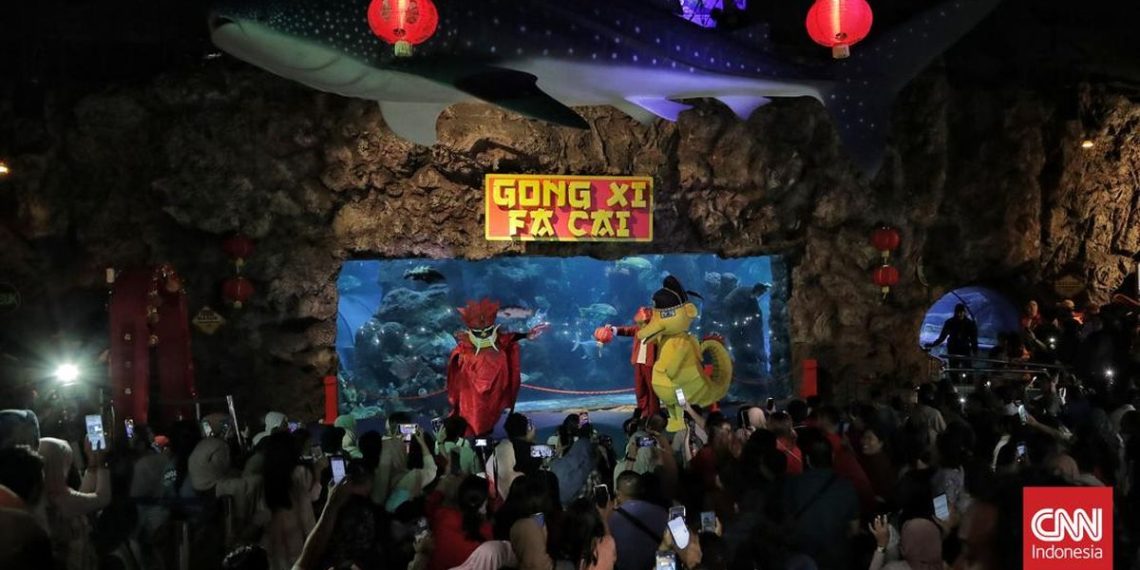 Atraksi Barongsai Dalam Air Rayakan Imlek di Sea World Ancol