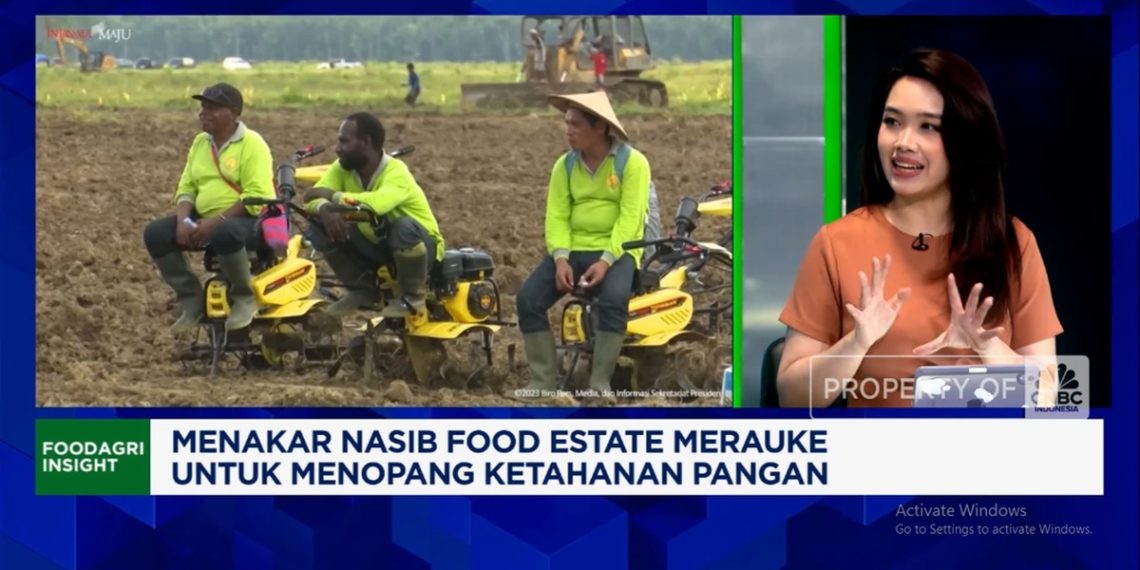 Dampak Food Estate Merauke terhadap Masyarakat dan Ekonomi Lokal