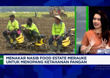 Dampak Food Estate Merauke terhadap Masyarakat dan Ekonomi Lokal