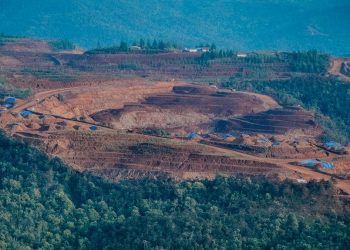 Deforestasi Menyebabkan Nyamuk Semakin Haus Darah Manusia
